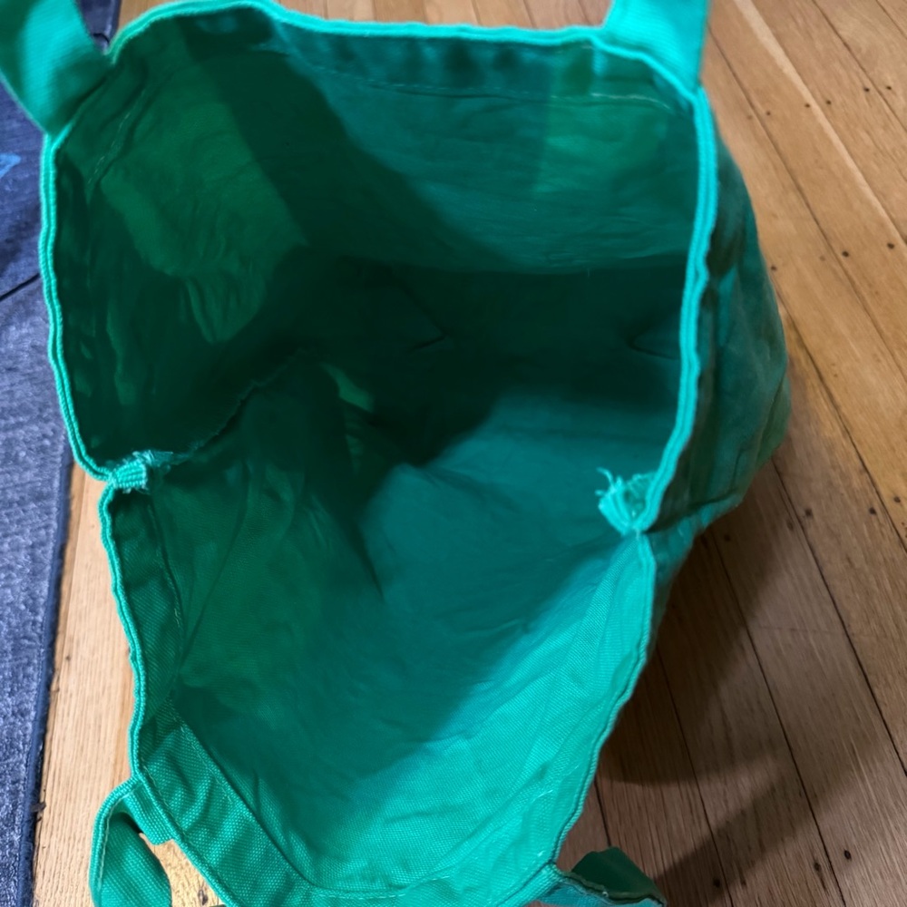 RARE The New Yorker Limited Edition Tote Bag Laura Dirzyte Green Dog Walk - Picture 7 of 7